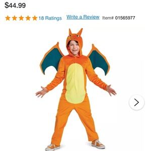 Charizard Pokémon Costume